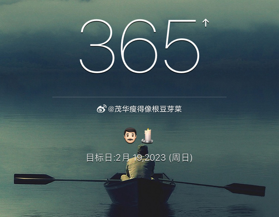 365天一周年视频，把一年熬成三分钟，值吗？